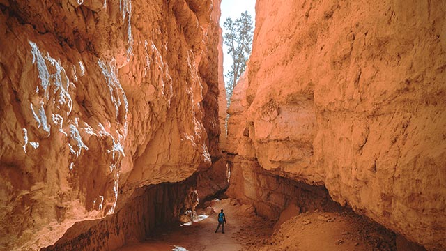 Bryce Canyon, Utah, USA