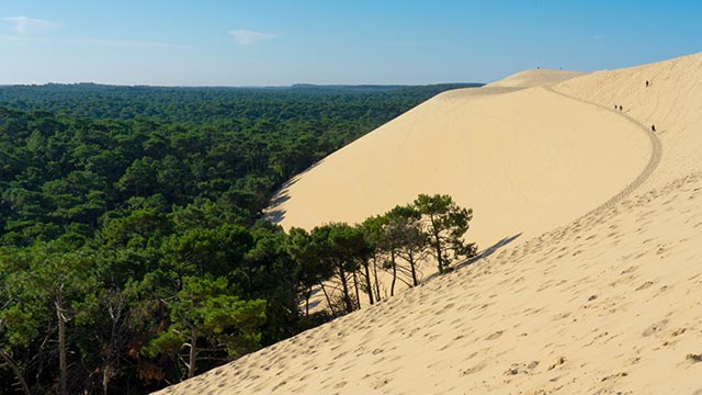 Dune du Pilat, France