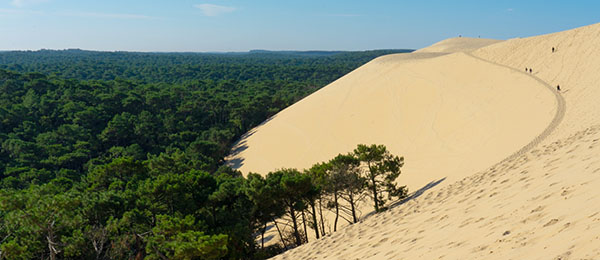 Pilat Dune